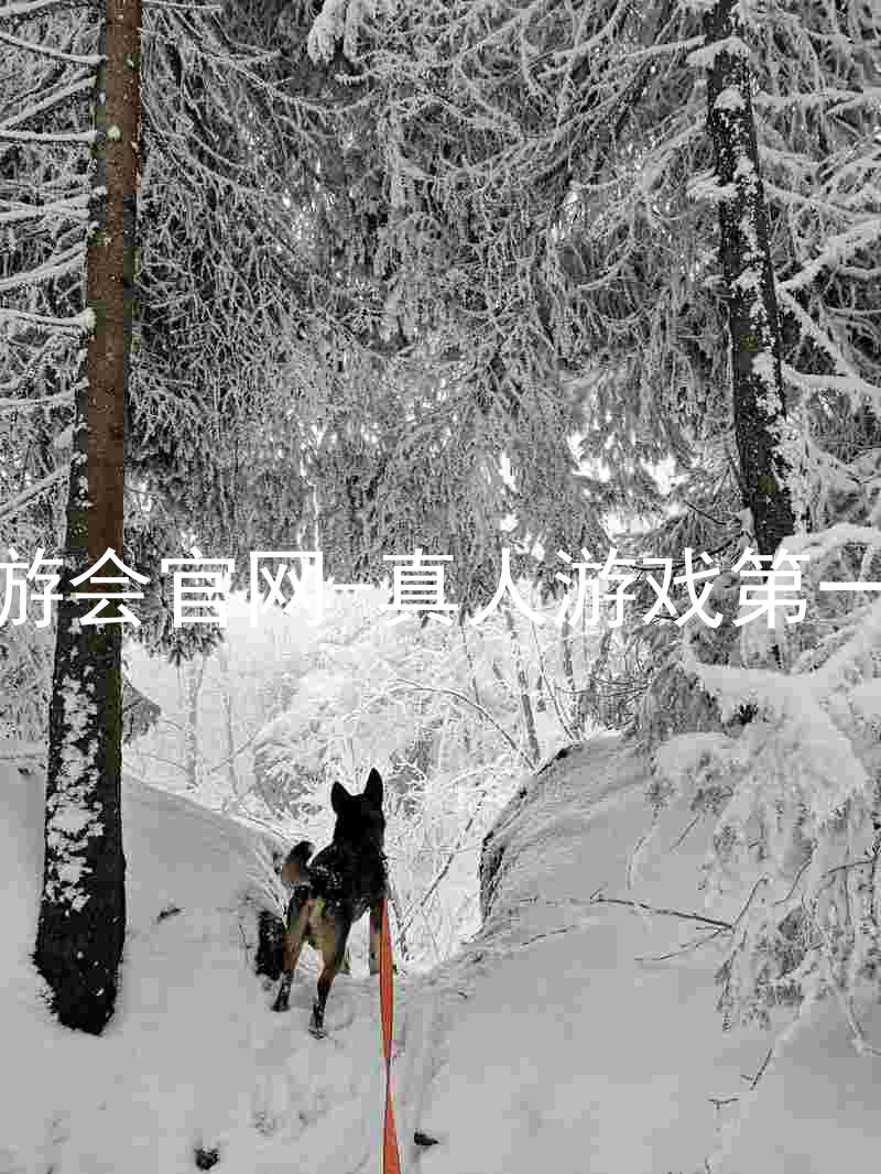 j9九游会官网-真人游戏第一品牌