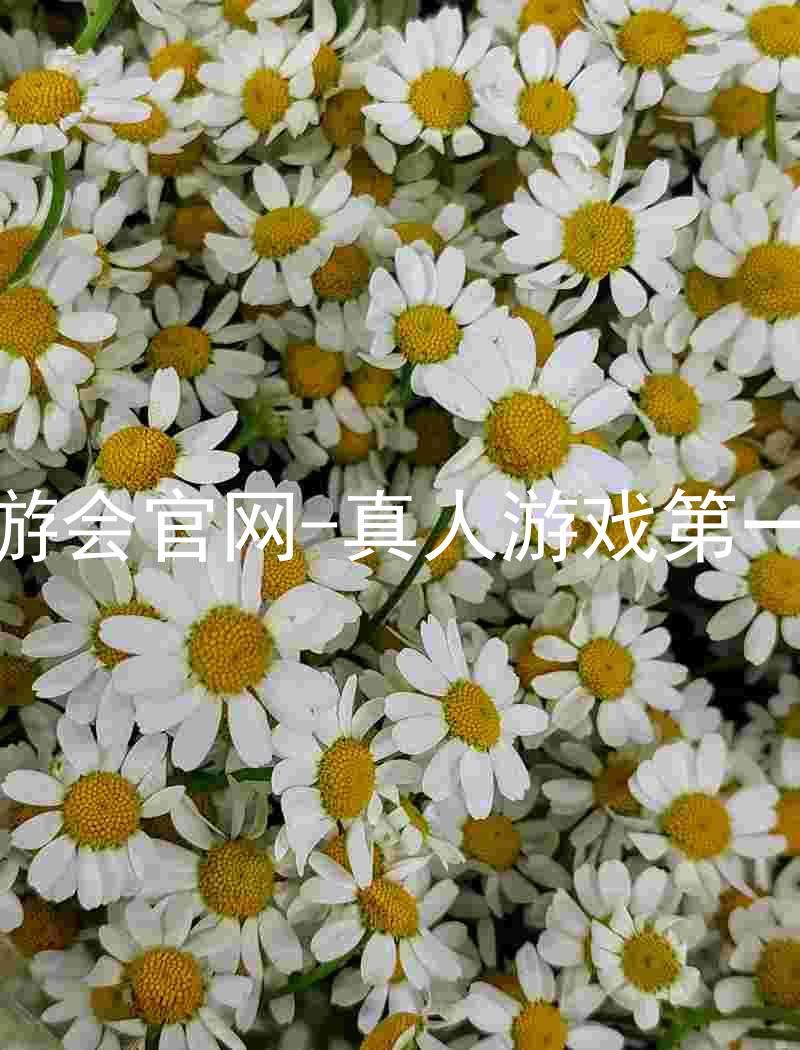 j9九游会官网-真人游戏第一品牌