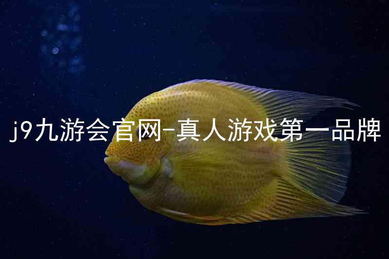 j9九游会官网-真人游戏第一品牌